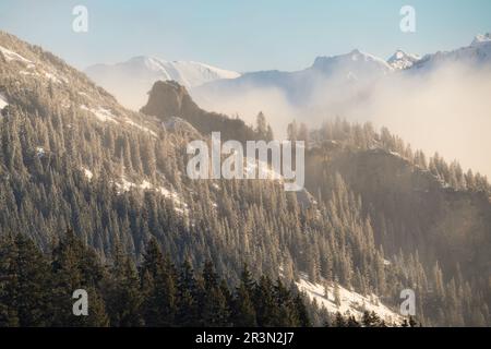 Blick auf das Kleinwalsertal im Winter mit frischem Schnee und blauem Himmel. Österreich AllgÃ¤U Alpen Stockfoto