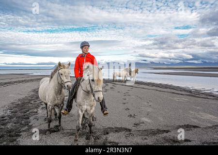 Island / Ostisland/Husey/ der Bauernhof bietet kurze und lange Wanderungen zu Pferd in Richtung Dünen und Meer. Stockfoto