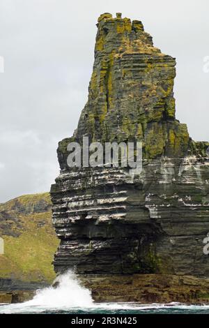 Wild Atlantic Way Bootsfahrt auf den Cliffs of Moher Stockfoto