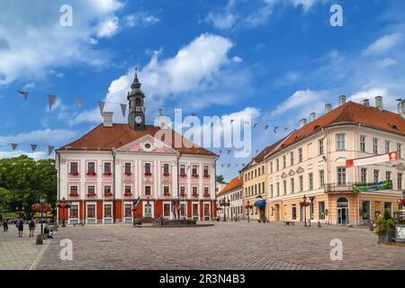 Rathausplatz, Tartu, Estland Stockfoto