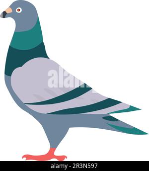 Vektordesign der bunten Taube Stock Vektor