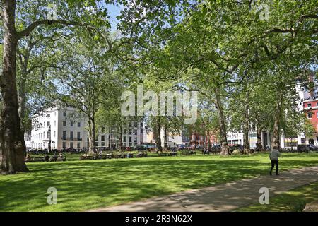 Berkeley Square im wohlhabenden Londoner Stadtteil Mayfair. Zeigt die Mitte des Gartenplatzes an einem sonnigen Sommertag. Stockfoto