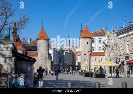 Wachtürme des Viru Gate, Haupteingang zu Vanalinn oder Altstadt von Tallinn, Estland Stockfoto