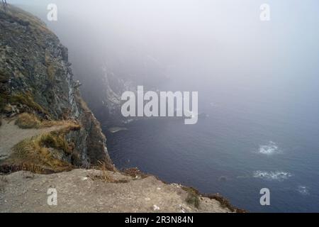 Cliffs  steep coast on the Old Head of Kinsale Stockfoto