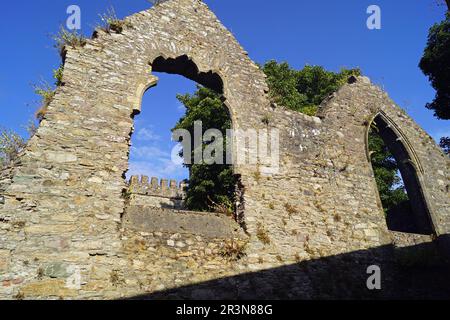 Kloster Selskar Irland Stockfoto