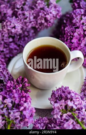 Von oben weißer Tee und wunderschöne lila Blumen auf grauem Betonhintergrund Stockfoto