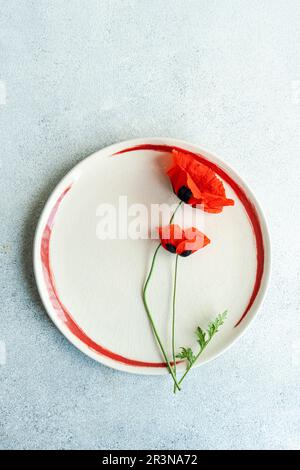 Von oben roter Mohn auf einem weißen Schild mit einem roten Kreis auf grauem Betonhintergrund Stockfoto