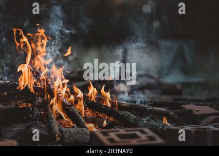 Lagerfeuer mit orangefarbenen Flammen aus brennendem Holz und umliegenden Ziegeln, die in dunkler Nacht in einem Wald unter verschwommenem Hintergrund Rauch erzeugen Stockfoto