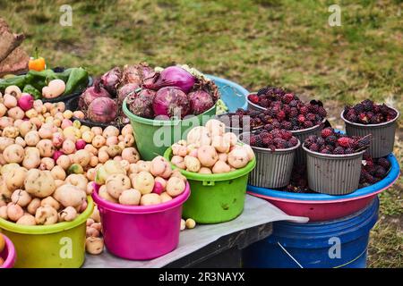 Großer Haufen frischer reifer Kartoffeln, roter Zwiebeln, grüner Paprika und Brombeeren in Eimern, die während der Ernte auf einer Wiese auf dem Tisch stehen Stockfoto