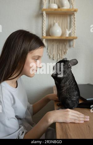 Seitenansicht eines Teenagers in lässiger Kleidung, das mit den Händen auf dem Holztisch sitzt und sich eine bezaubernde schwarze Chinchilla ansieht Stockfoto