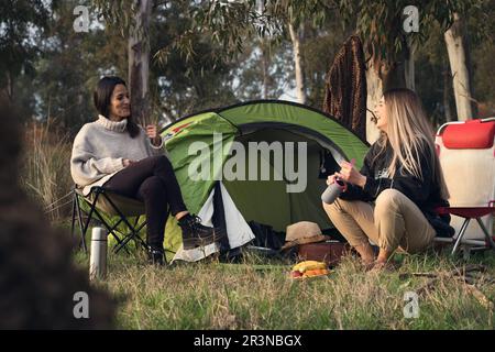 Glückliche junge Freundinnen lächeln und schauen sich an, während sie bei Tageslicht auf den Campingstühlen neben dem Zelt sitzen und während des Picknickens im Wald reden Stockfoto