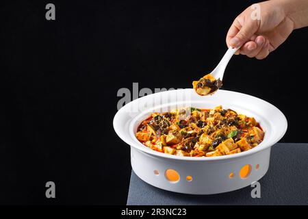 Geschmorte Seegurke mit Mapo Tofu Stockfoto