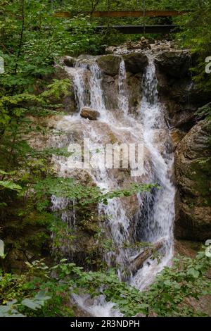 Wasserfall im Hoellschlucht Canyon, Nesselwang, Allgaeu Stockfoto