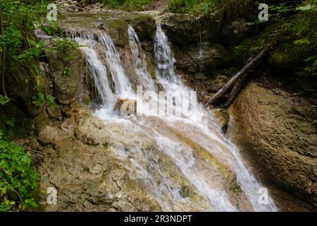 Wasserfall im Hoellschlucht Canyon, Nesselwang, Allgaeu Stockfoto