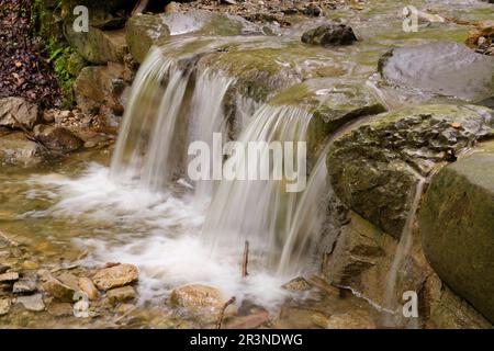 Wasserfall im Hoellschlucht Canyon, Nesselwang, Allgaeu Stockfoto