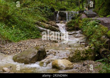 Wasserfall im Hoellschlucht Canyon, Nesselwang, Allgaeu Stockfoto