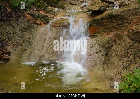 Wasserfall im Hoellschlucht Canyon, Nesselwang, Allgaeu Stockfoto