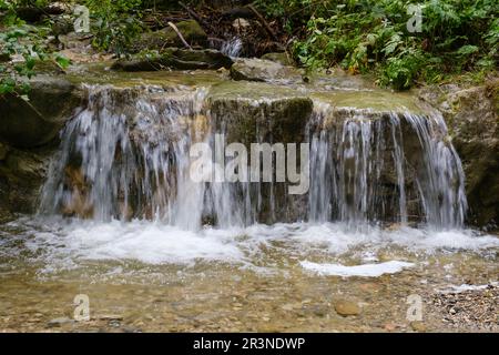 Wasserfall im Hoellschlucht Canyon, Nesselwang, Allgaeu Stockfoto