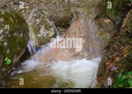 Wasserfall im Hoellschlucht Canyon, Nesselwang, Allgaeu Stockfoto