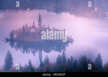 Bled, Slowenien Blick mit Kirche Stockfoto