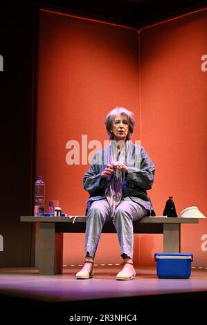 London, Großbritannien. Fotoaufruf für „Rose“ von Martin Sherman mit Maureen Lipman, Ambassadors Theatre, West Street, Covent Garden. Kredit: michael melia/Alamy Live News Stockfoto