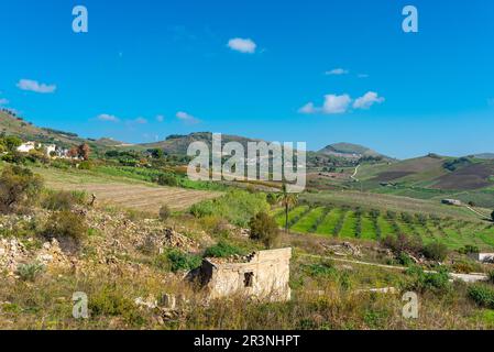 Landschaft des Belice Valley in Salaparuta im Westen Siziliens Stockfoto