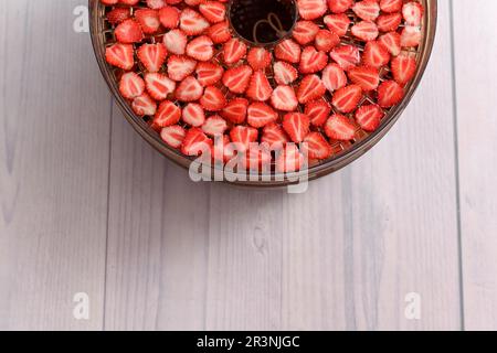 Trocknen Sie die Erdbeeren in einer Entwässerungsmaschine. Stockfoto