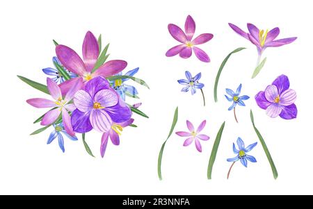 Strauß aus Krokussen, blauen Schneetropfen, grünen Blättern und isolierten Blumen auf weißem Hintergrund. Aquarelldarstellung. Zum Valentinstag, Hochzeitskarten Stockfoto
