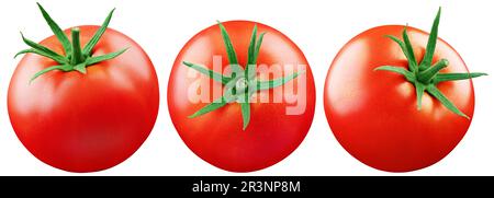 Set aus roten Tomaten, isoliert auf weißem Hintergrund mit Schnittpfad. Frische Tomaten. Volle Schärfentiefe Stockfoto