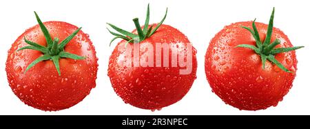 Satz nasser roter Tomaten, isoliert auf weißem Hintergrund mit Schnittpfad. Frische Tomate mit Tropfen. Volle Schärfentiefe Stockfoto