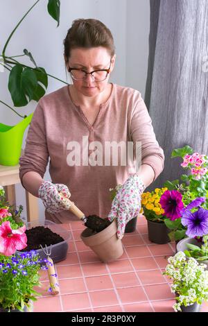 Frühlingsdekoration eines Heim-Balkons oder -Terrasse mit Blumen, Frau, die Blumen in Töpfe pflanzt, Blumen auf einem Hintergrund mit rosa Fliesen, Heimgärten Stockfoto