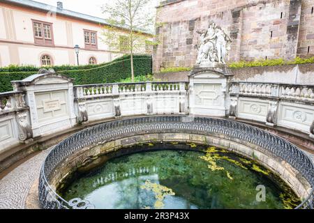 Die Quelle der Donau in der Donaueschinger Altstadt im Südwesten Deutschlands. Stockfoto