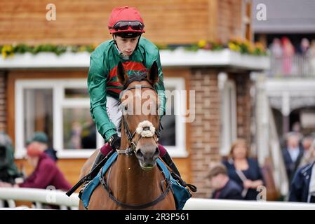 Jockey Oisin Murphy und Horse Mountain Peak beim Dante Festival 2023 Stockfoto