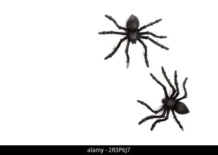 Zwei schwarze Spider-Spielzeuge aus Gummi, isoliert auf weißem Hintergrund mit Kopierbereich. Stockfoto