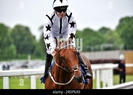 Jockey Jamie Spacer und Pferd Toshizou Stockfoto