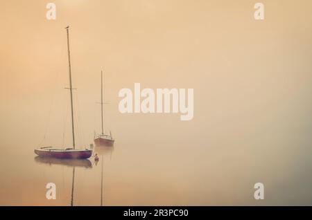 Nebeliger Morgen auf dem See. Boote am Parpocany-See in Tychy, Polen. Stockfoto