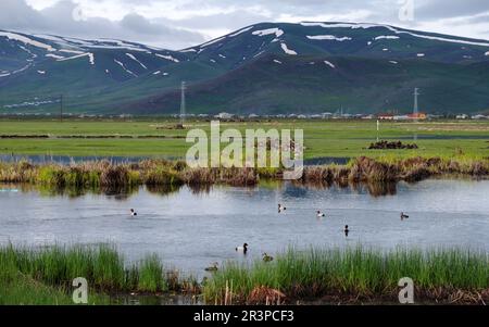 Caldiran in Van, Türkei. Stockfoto