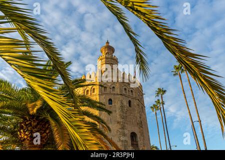 SEVILLA, SPANIEN - 1. JANUAR 2023: Goldturm bei Sonnenuntergang (Torre del Oro) in Sevilla, Spanien am 1. Januar 2023 Stockfoto