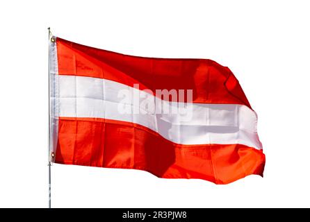 Die Flagge Österreichs winkt Stockfoto