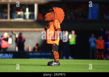 24. Mai 2023; Tannadice Park, Dundee, Schottland: Scottish Premiership Football, Dundee United gegen Kilmarnock; Dundee United Maskottchen Terry the Tangerine Terror Stockfoto