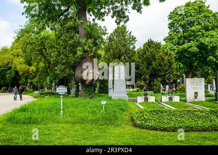 wien, österreich, 19. Mai 2023, Zentralfriedhof wiener zentralfreidhof Stockfoto