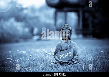Buddha-Statue auf einer Wiese mit einem Schild mit der Aufschrift "Frieden" Stockfoto