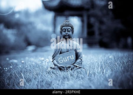 Buddha-Statue auf einer Wiese mit einem Schild mit der Aufschrift Guru Stockfoto