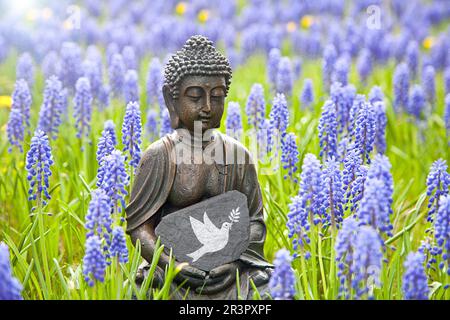 Buddha-Statue auf einer Wiese mit Traubenhyazinthen und einer Friedentaube Stockfoto