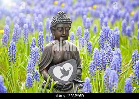 Buddha-Statue auf einer Wiese mit Traubenhyazinthen und einer Friedentaube Stockfoto