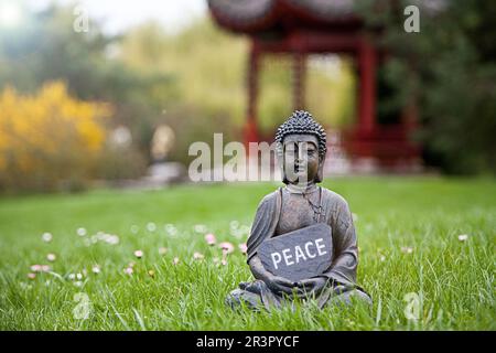 Buddha-Statue auf einer Wiese mit einem Schild mit der Aufschrift "Frieden" Stockfoto
