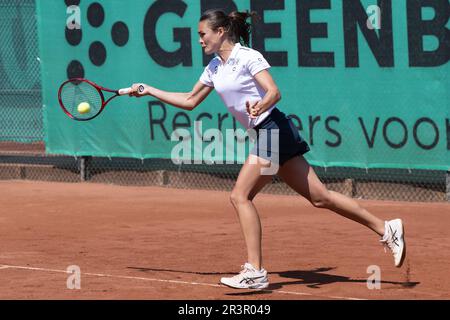 Zandvoort, Niederlande. 24. Mai 2023. ZANDVOORT, NIEDERLANDE - MAI 24: Jasmijn Gimbrére von Baarn Lead Healthcare in Aktion während des Eredivisie Tennis Match zwischen T.C. Zandvoort und Baarn 1 im Tennispark De Glee am 24. Mai 2023 in Zandvoort, Niederlande (Foto von Kees Kuijt/Orange Pictures) Guthaben: Orange Pics BV/Alamy Live News Stockfoto