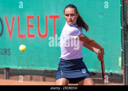 ZANDVOORT, NIEDERLANDE - MAI 24: Jasmijn Gimbrére von Baarn Lead Healthcare in Aktion während des Eredivisie Tennis Match zwischen T.C. Zandvoort und Baarn 1 im Tennispark De Glee am 24. Mai 2023 in Zandvoort, Niederlande (Foto: Kees Kuijt/Orange Pictures) Stockfoto