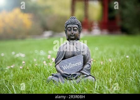 Buddha-Statue auf einer Wiese mit einem Schild mit der Aufschrift Wellness Stockfoto