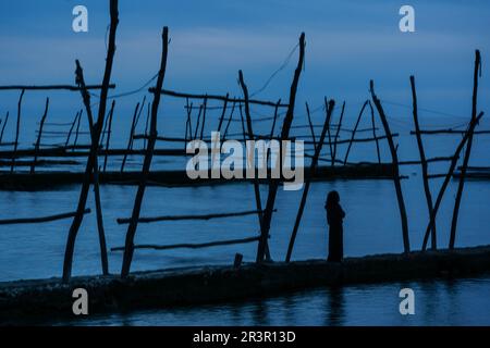 Tipicas gruas de barca, Savudrija, Halbinsel Istrien, Croacia, Europa. Stockfoto